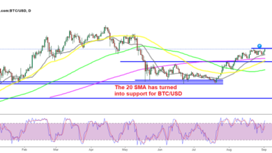 Bitcoin sieht zunehmend bullisch aus, Bitcoin Cash (BCH) folgt nicht mehr