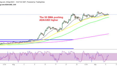 Cardano(ADA)springtbaldhöher,nachdemerdieheutigeKrypto Rallyeverpassthat?