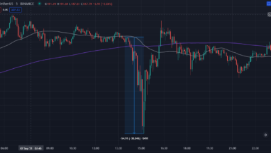 Solana(SOL)schiebttrotzdesCrypto Flash Crashsüberhinaus