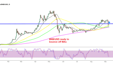 Der Handel mit Binance Coin (BNB) sieht gut aus, Axie Infinity (AXS) Token versucht, den Aufwärtstrend wieder aufzunehmen