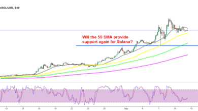 BullischeZeichenbeiSolana(SOL) Münze,dasiefürdennächstenAngriffbereitscheint