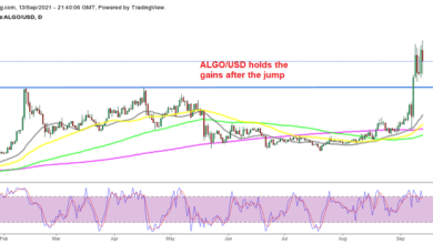 Algorand Coin Price Analysis – Crypto Crackdown in Südkorea hat keinen Einfluss auf ALGO/USD, was die Gewinne hält