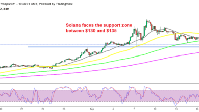 Solana Coin (SOL) nähert sich einer wichtigen Unterstützungszone, Fantom Crypto (FTM) findet bereits Unterstützung