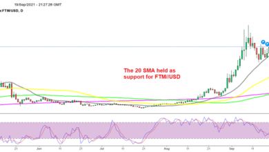 The bounce eventually came as the 20 SMA wasn