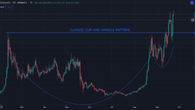 Avalanche (AVAX): Top-Defi-Coin erreicht Allzeithoch trotz der jüngsten Krypto-Volatilität