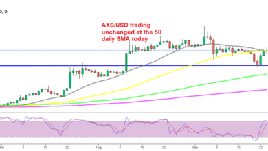 AXS/BTC Buy Crypto Trade schreitet voran, während Axie Infinity Coin gewinnt, während Bitcoin abstürzt