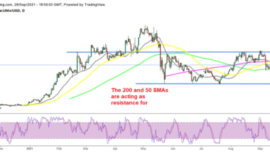 Waiting for the bullish trend to resume in Uniswap