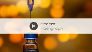 4,5 Milliarden US-Dollar für die Erweiterung des Hedera-Hashgraph-Ökosystems