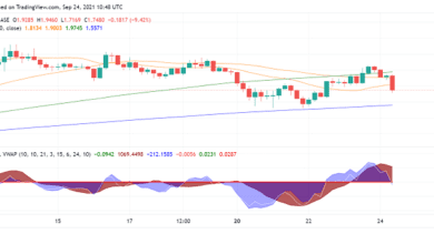 Algorand (ALGO) rutscht trotz starker Fundamentaldaten nach unten