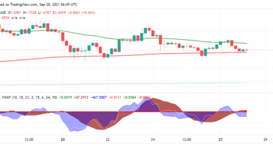 Algorand (ALGO) sieht trotz starker Fundamentaldaten vorsichtigen Handel