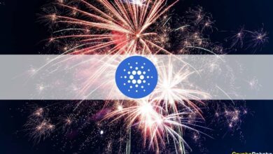 AlonzoMainnet Upgradeginglive