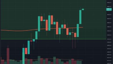 BTC nähert sich mit einer soliden Wochenend-Rallye 50.000 US-Dollar