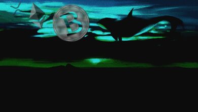 Bitcoin-Wale haben seit Mitte Juli unglaubliche 8.800.000.000 $ in BTC gekauft, sagt On-Chain Analyst Will Clemente