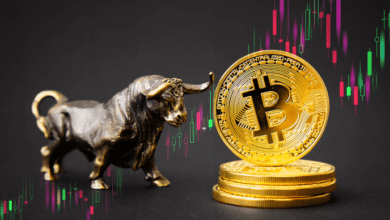 BitcoinkönntediesesJahr.USDerreichen:Scaramucci