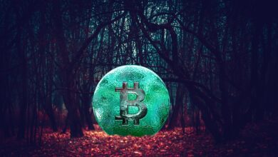 Bitcoin und Krypto gewinnen Rechtsstatus in der Ukraine