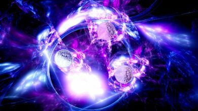 BitwiselegtAltcoin HeavyCryptoIndexFundauf