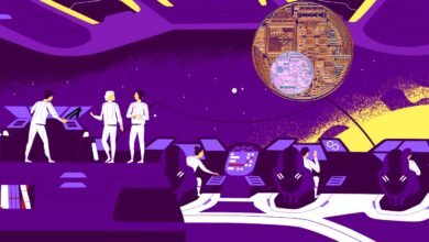 BullischeFortsetzungkommtfürAlgorand,PolygonundzweiweitereAltcoins,prognostiziertTop Krypto Analyst
