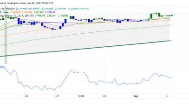 Cardano (ADA) zieht sich nach Berührung des neuen ATH zurück: Preis steigt?