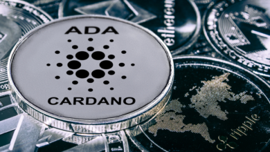 Cardano Preissteigtum%,umeinenTeilseinerVerlusteauszugleichen