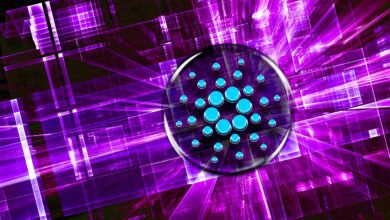 CardanoSmartContract Startstehtunmittelbarbevor–HieristdasNeuestezummitSpannungerwartetenUpgrade