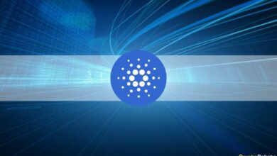 Cardano mit den meisten Commits pro Monat im letzten Jahr: Bericht