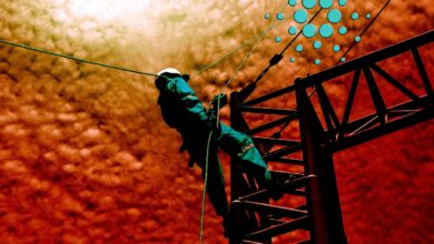 Cardano verbündet sich mit Chainlink Um die Entwicklung von Smart Contracts und DeFi-Anwendungen voranzutreiben