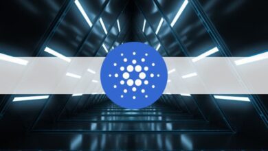 Cardanos Hardfork, Smart Contracts vs. Criticism und was steht bevor?