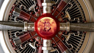 Crypto Backlash: Umfrage zeigt, dass Salvadorianer von Bitcoin verwirrt sind