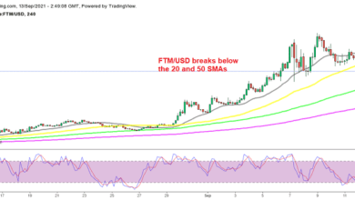 DerersteRückgangunterdenSMAinFantom(FTM)CoinsnachdemunglaublichenAnstiegimSeptember!