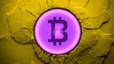 Der frühere Präsident Trump schlägt vor, dass Krypto "kann gefälscht sein", sagt er, er habe nicht in BTC oder andere digitale Vermögenswerte investiert