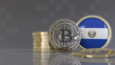 Die Adoption von El Salvador ist das Highlight des Monats