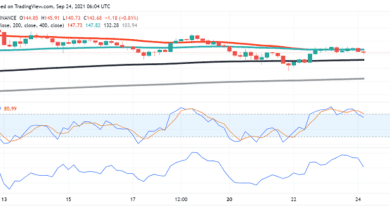 Die Akzeptanz von Solana steigt – mehr Anwendungen geben Gründe, SOL zu optimistisch zu machen