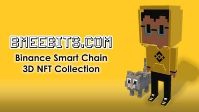 Die BMeebits.com-Sammlung von 3D-NFT-Modellen auf dem Binance Smart Chain war in 12 Stunden ausverkauft
