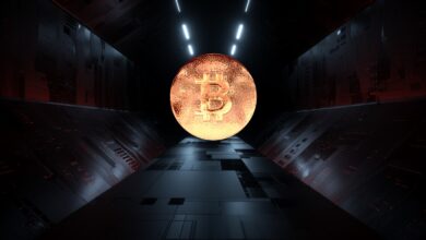 DieBitcoin WalletvonElSalvadorwirdinden„nächstenTagen“zu%funktionsfähigsein,sagtPräsidentNayibBukele