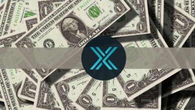 DieNFT SkalierungslösungImmutableXsammeltMillionenUS DollarinderFinanzierungsrundederSerieBein