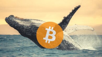 DiedrittgrößteBitcoin WallethatgeradeBTCimWertvonMillionenDollargekauft
