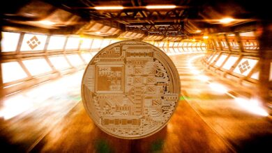 Dieser Altcoin explodiert inmitten der größeren Kryptomarktkorrektur