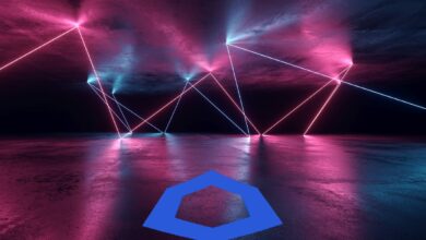 DieserLarge Cap AltcoinistfüreinenAusbruchvorbereitet,sagtKrypto HändlerMichaëlvandePoppe