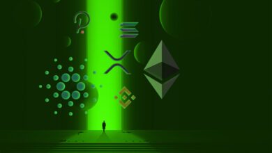 Dieser Under-the-Radar-Altcoin ist diese Woche trotz der Kryptomarktkorrektur um 34% gestiegen