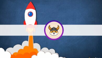 ElonMuskkaufteeinenShibaInu Hund;AlsErgebnissindneueDogecoin NachahmerindieHöhegeschnellt