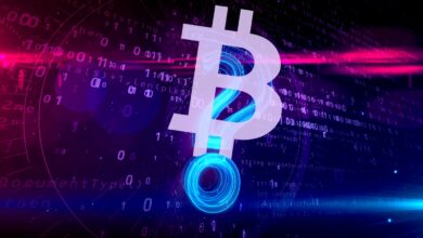 Fast die Hälfte der Einwohner dieses Landes würde die Einführung von Bitcoin als offizielle Währung begrüßen: Bericht