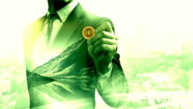 Folgendes verstehen Gold Bugs nicht über Bitcoin, so Cathie Wood von ARK Invest