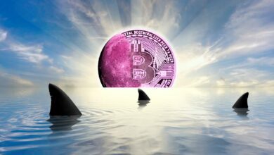 Hierist,wasesfürSharkTank InvestorKevinO'Learybraucht,ummehrKapitalinBitcoinundCryptozustecken