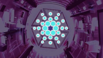 Ist es an der Zeit, bei Cardano vorsichtig zu sein? Analyst Michaël Van De Poppe untersucht, was als nächstes für den explosiven Altcoin kommt