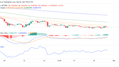 Kann Dogecoin (DOGE) den Pivot Point überwinden?