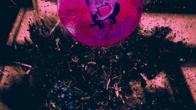 Krypto MärktestürzenindramatischerUmkehrab–DassagtVeteranTraderToneVaysüberdieFlugbahnvonBitcoin