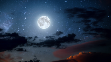 LUNA-Preis könnte nach Columbus-5-Upgrade monden