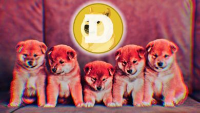 Laut Elon Musk muss eine Sache passieren, um eine weit verbreitete Dogecoin-Akzeptanz auszulösen