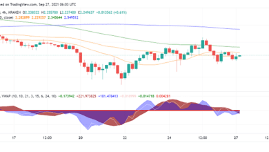 Mehrere neue Partnerschaften beim Cardano Summit angekündigt