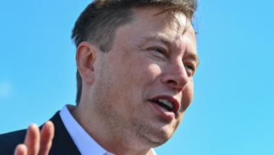 Musk fordert Regierungen auf, bei der Krypto-Regulierung „nichts zu tun“